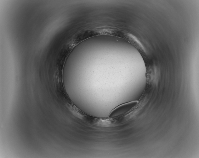 X0000116100573200911301105