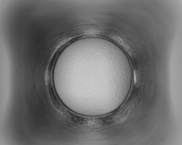 X0000116100579200911301104