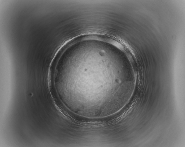 X0000116100580200911301104