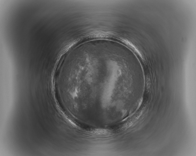 X0000116100581200911301104