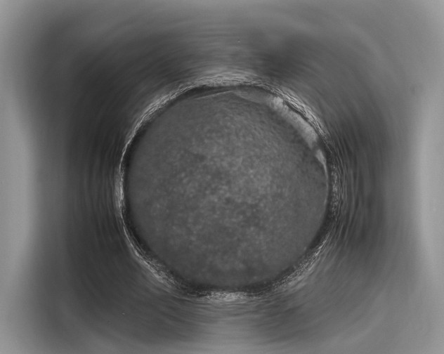 X0000116100582200911301104