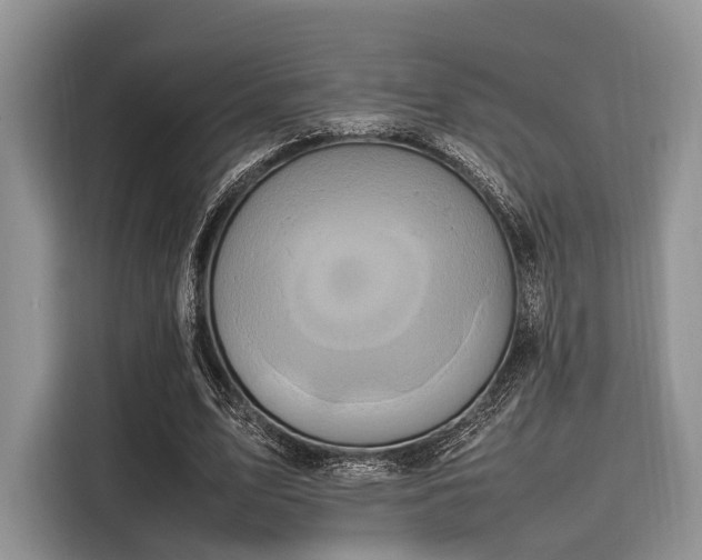 X0000116100583200911301104