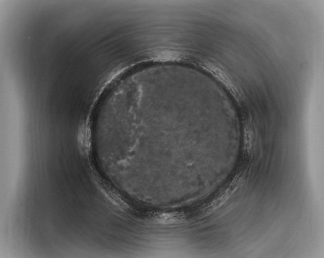 X0000116100584200911301104