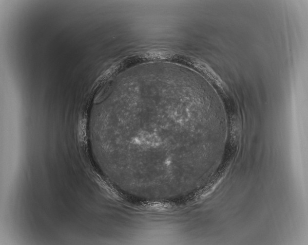 X0000116100585200911301104