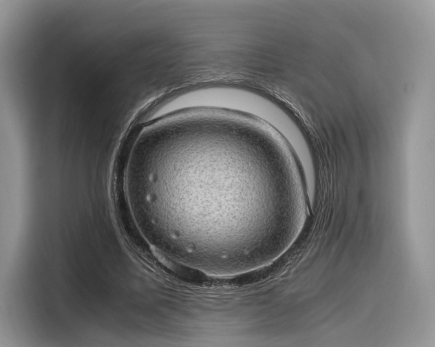 X0000116100587200911301104