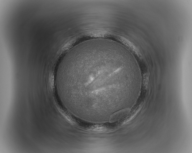 X0000116100589200911301104