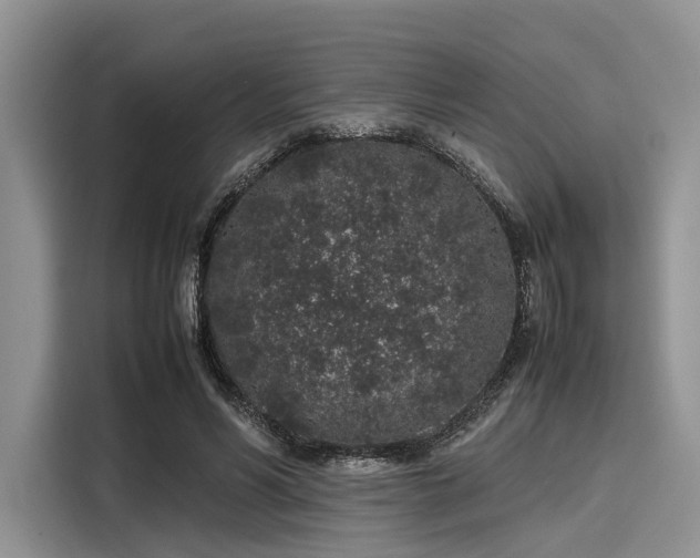 X0000116100590200911301104