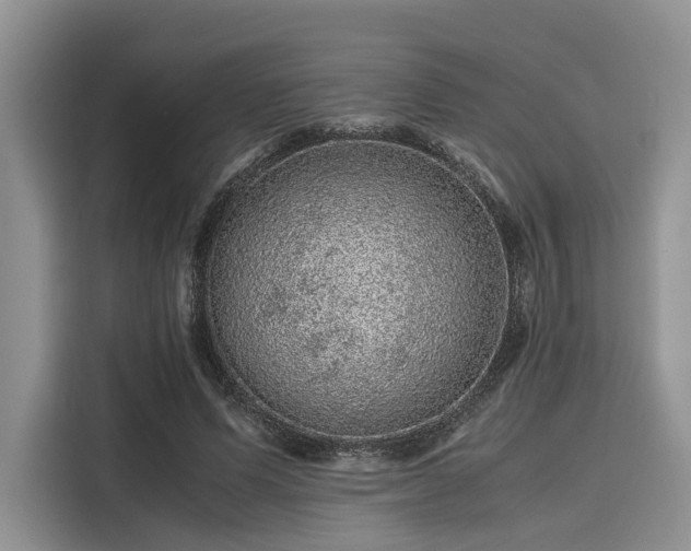 X0000116100591200911301104