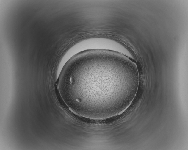 X0000116100593200911301104