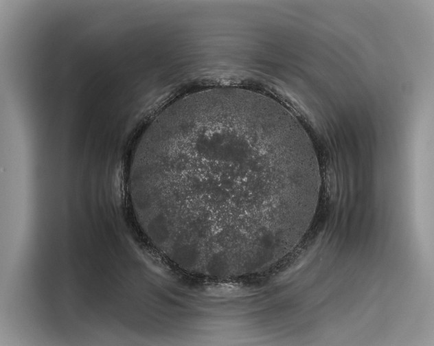 X0000116100594200911301104