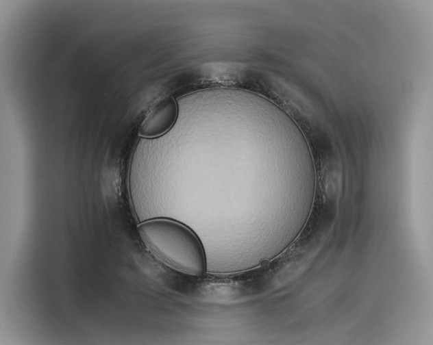 X0000116100595200911301104