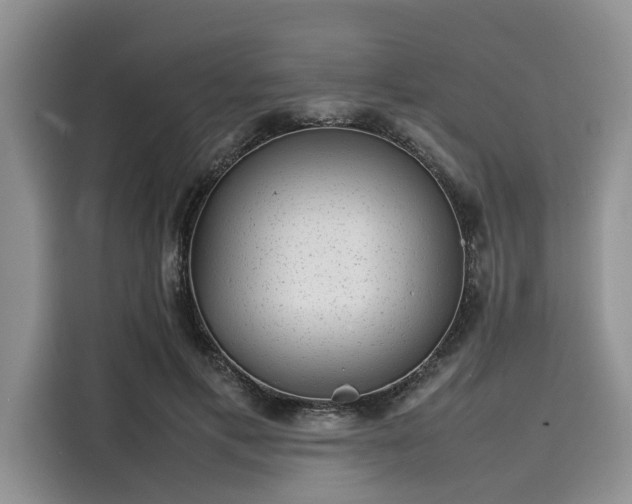 X0000116100597200911301104