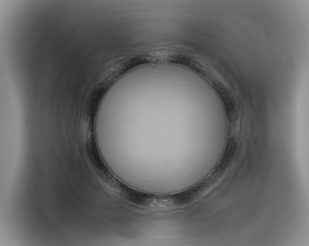 X0000116100599200911301104