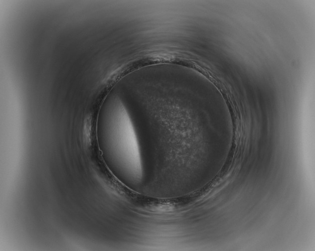 X0000116100600200911301104