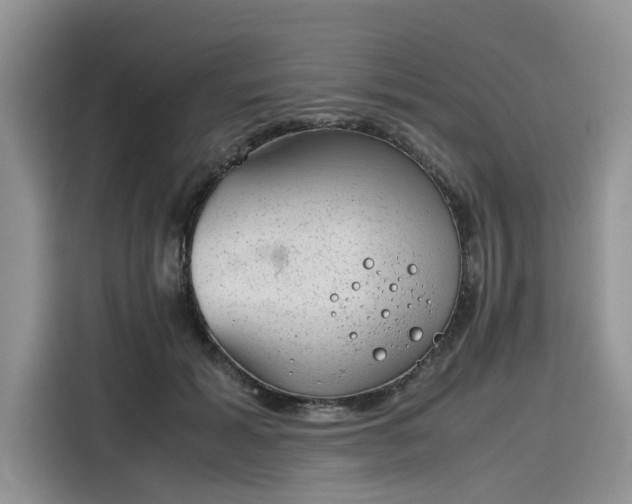 X0000116100605200911301104