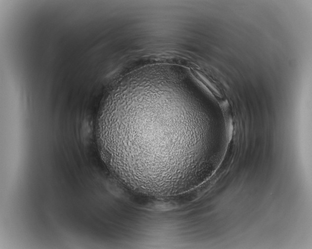 X0000116100608200911301104