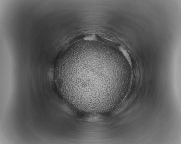 X0000116100612200911301104