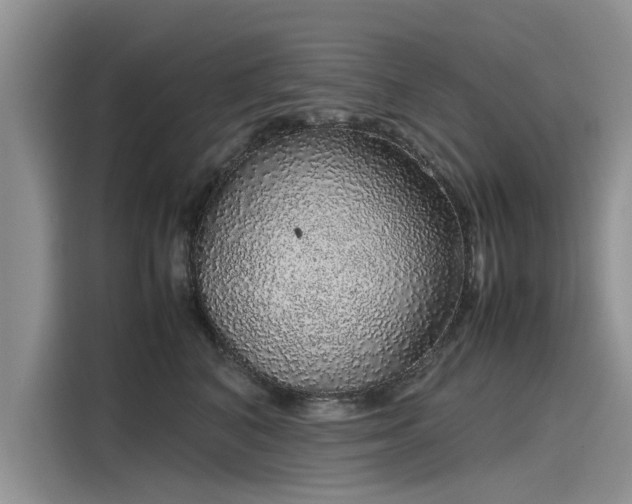 X0000116100616200911301104