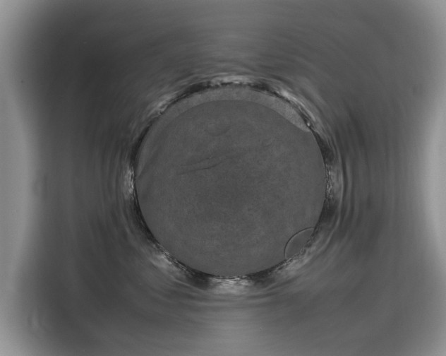 X0000116100621200911301104