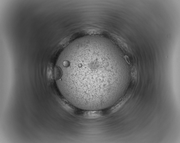 X0000116100622200911301104