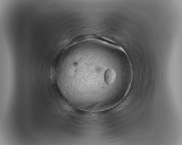 X0000116100624200911301104