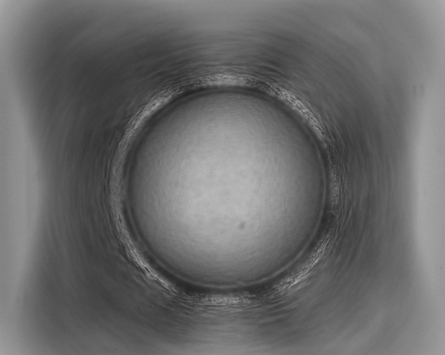 X0000116100625200911301103