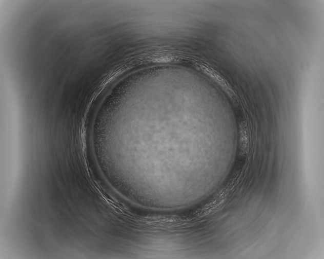 X0000116100626200911301103