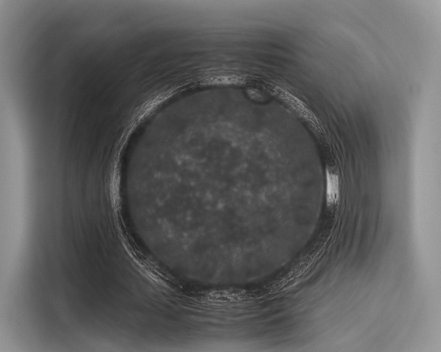 X0000116100627200911301103