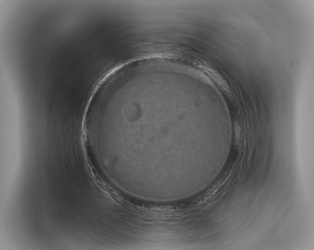 X0000116100628200911301103