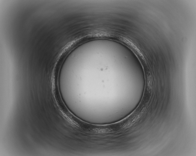 X0000116100629200911301103