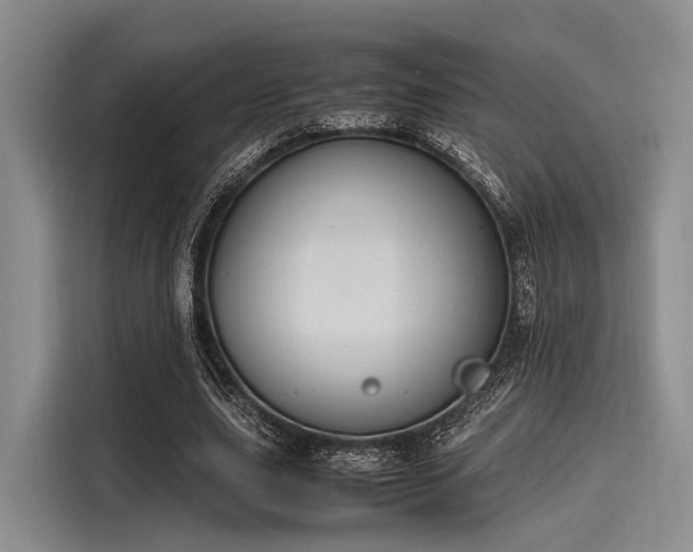 X0000116100631200911301103