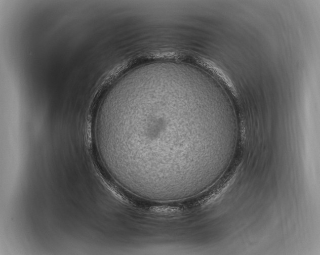 X0000116100633200911301103