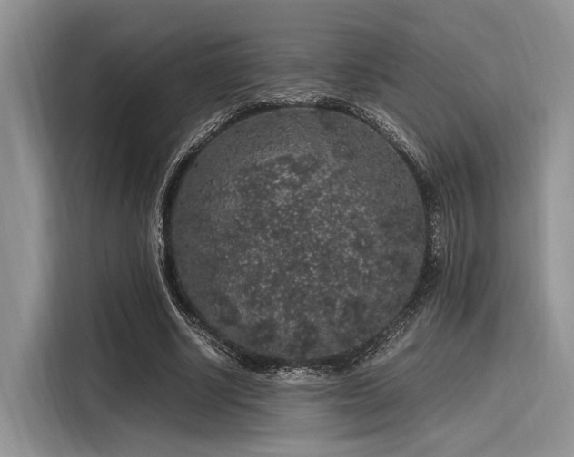 X0000116100634200911301103