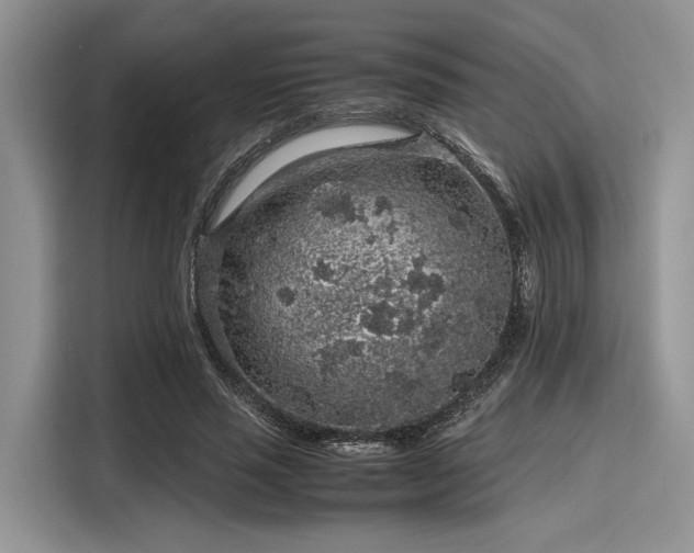 X0000116100637200911301103