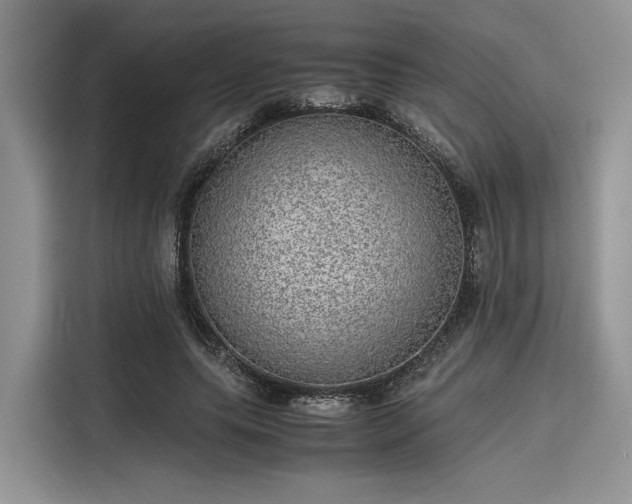 X0000116100639200911301103