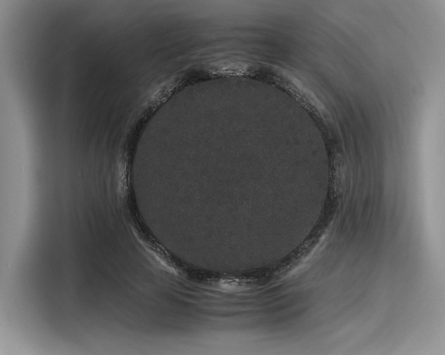 X0000116100641200911301103