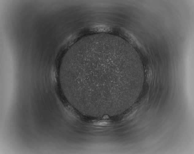 X0000116100643200911301103