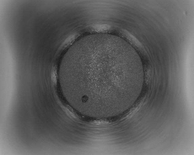 X0000116100644200911301103