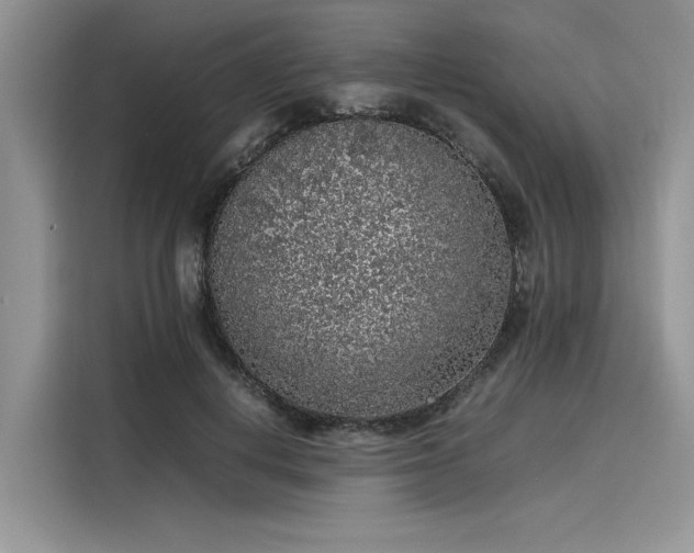 X0000116100648200911301103