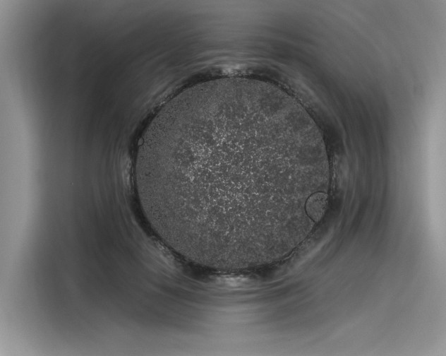 X0000116100650200911301103