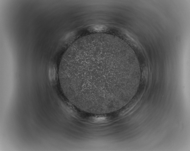 X0000116100651200911301103