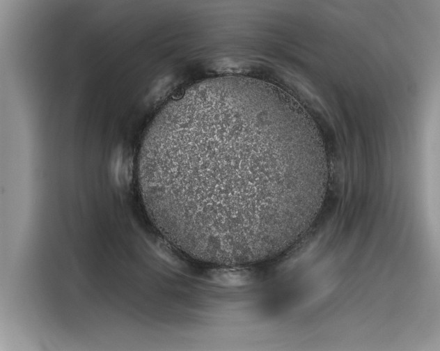 X0000116100652200911301103