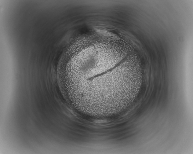 X0000116100653200911301104