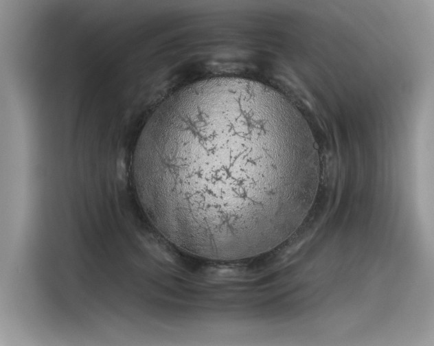 X0000116100655200911301104