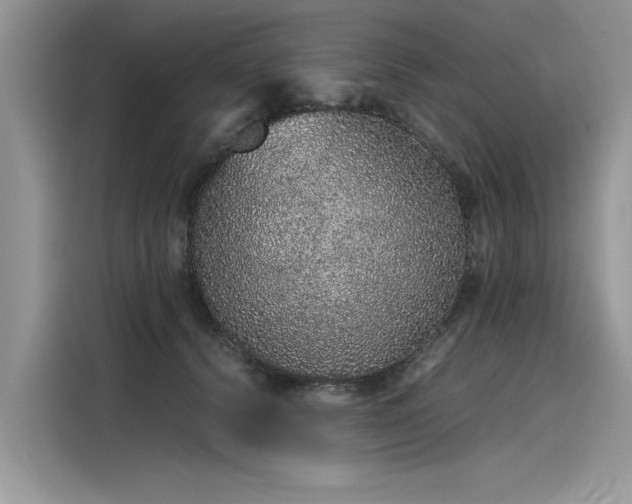 X0000116100656200911301104