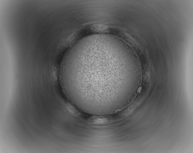 X0000116100658200911301104