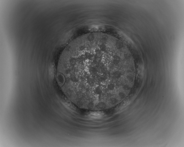 X0000116100659200911301104