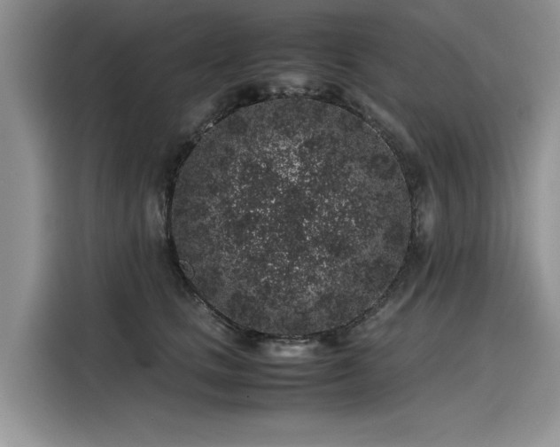 X0000116100661200911301104