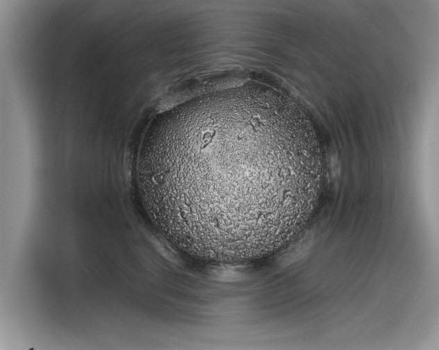 X0000116100664200911301104