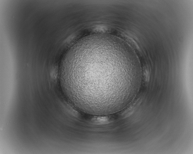 X0000116100665200911301104